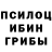 Псилоцибиновые грибы мицелий WickedlNl