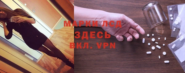 гидра Богданович