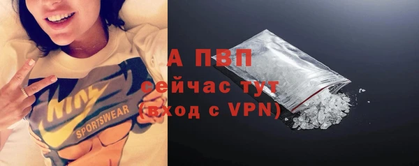 гидра Богданович