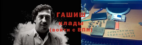 гидра Богданович