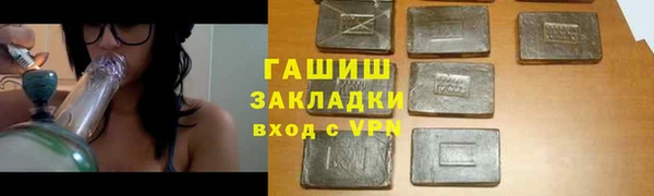 прущие грибы Белокуриха