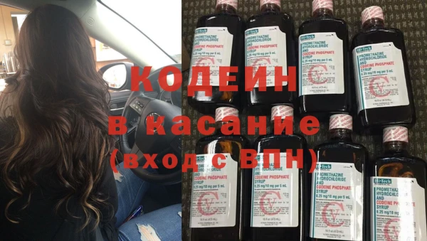 гидра Богданович