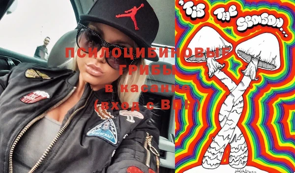 гидра Богданович
