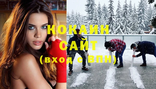 прущие грибы Белокуриха