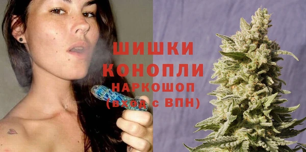 гидра Богданович