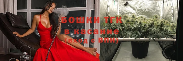 трава Богородицк